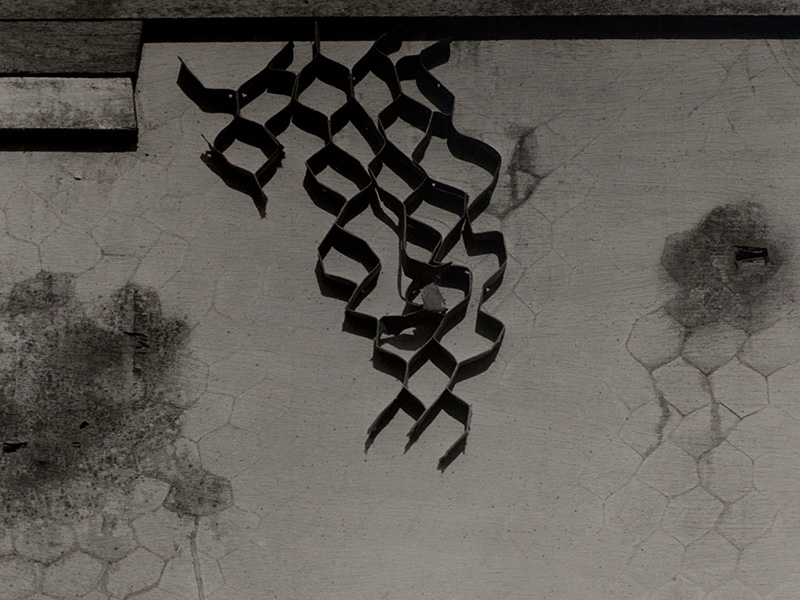 FOTOGRAFIAS_CARRUSEL_4